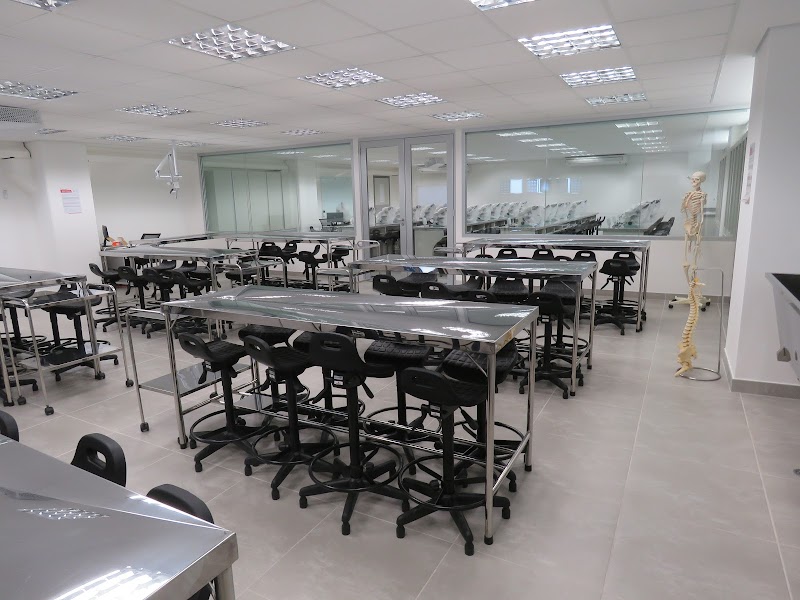 CENTRO UNIVERSITÁRIO SÃO CAMILO, São Paulo/SP