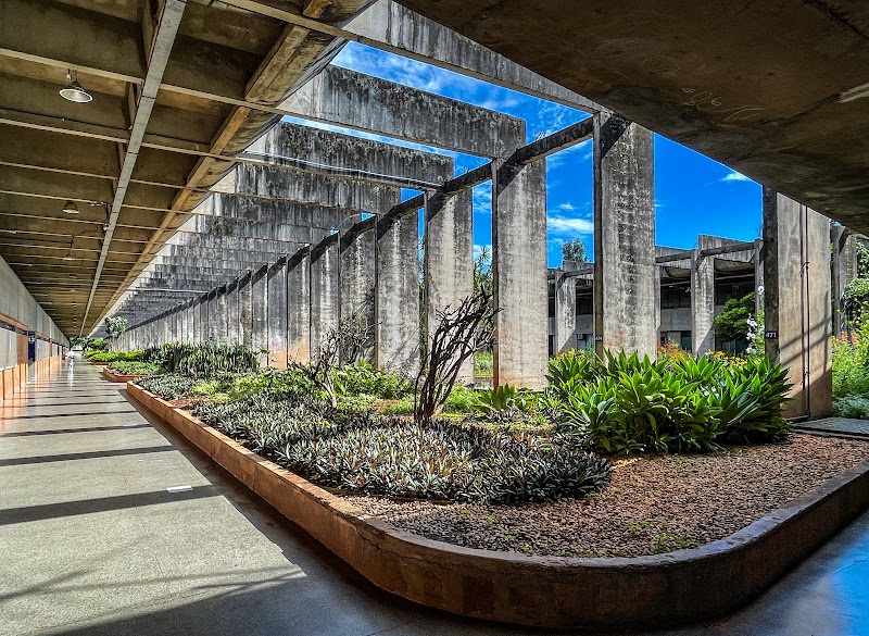 UNIVERSIDADE DE BRASÍLIA